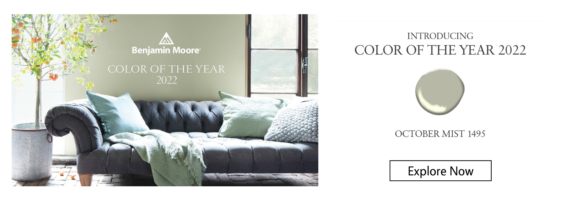 kucker haney paint co color of the year