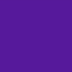 Glossy-Purple