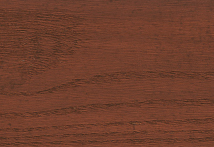 american-chestnut
