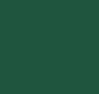 EVERGREEN-V20