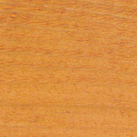 Autumn Chestnut