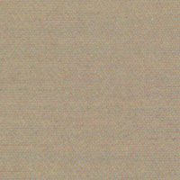 Beechwood Gray