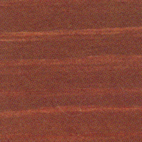Burnt Woods