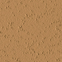 Cedarwood