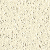 Winter White