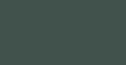 Deep-Forest-342062