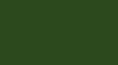 RV-126 Toscana-Green