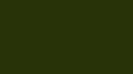 RV-132 Borneo-Green
