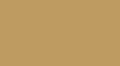RV-137 Pasteboard-Brown