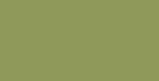 RV-250 Rambo-Green