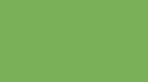 RV-271 Mystic-Green