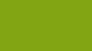RV-34 Guacamole-Green