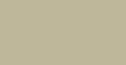 Satin-Fossil-249080