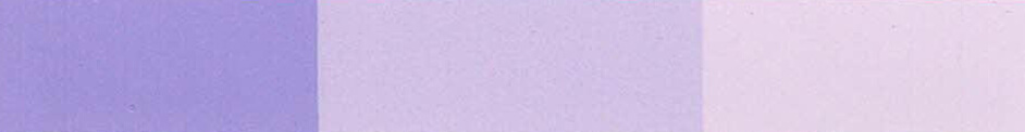 19-lavendar