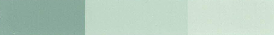 21-mint