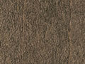 SANDSTONE