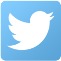 Twitter Icon