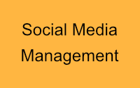 Social Media Management