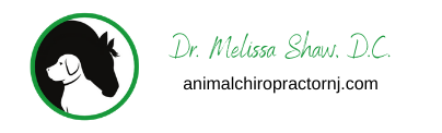 Animal Chiropractor